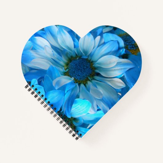 コラート ノートブック (正面)