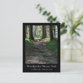 コラールビル湖のキツツキ自然遊歩道 ポストカード (スタンド正面)