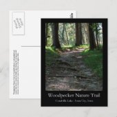コラールビル湖のキツツキ自然遊歩道 ポストカード (正面/裏面)