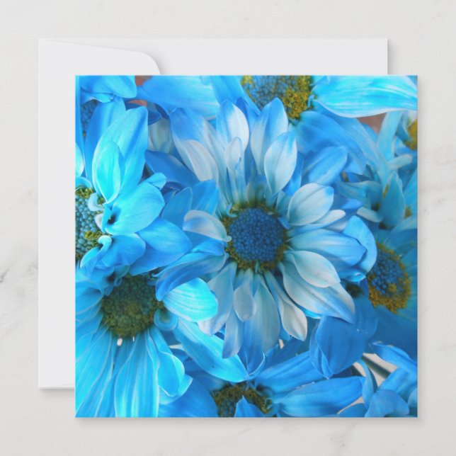 コラール (正面)