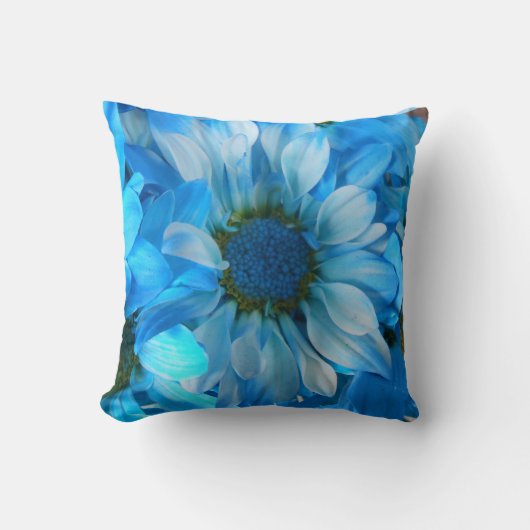 コラール クッション (正面)