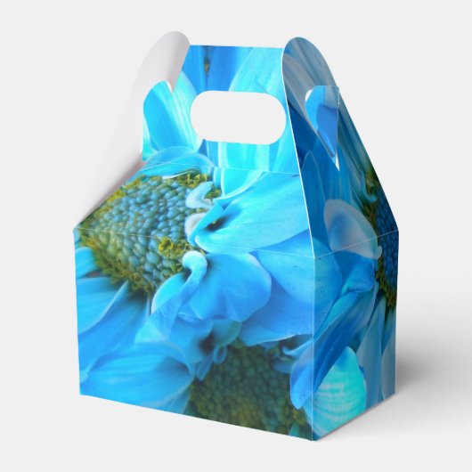 コラール フェイバーボックス (裏面サイド)