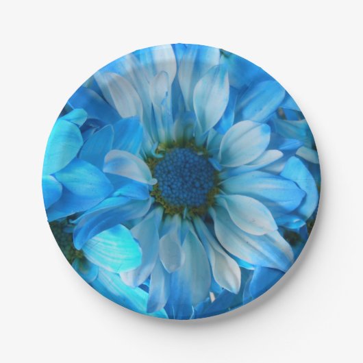 コラール ペーパープレート (正面)