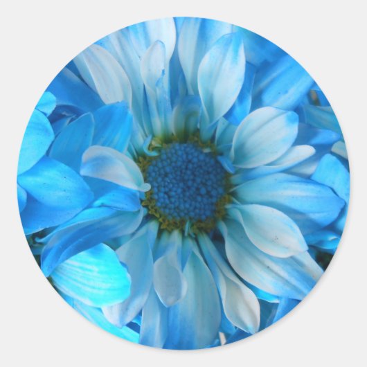 コラール ラウンドシール (正面)