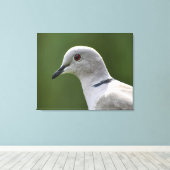 コラーレ素晴らしッド・ドーブ キャンバスプリント (インサイチュ (ウッドフロア))