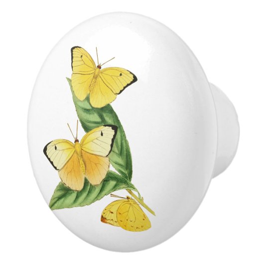 コリアスタティラバタフライ セラミックノブ (右)