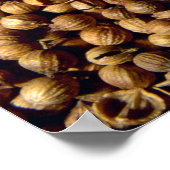 コリアンダーの全種子 ポスター (角)