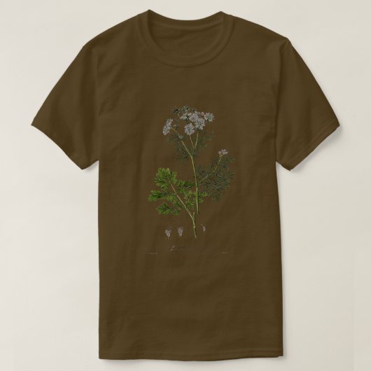 コリアンダーヴィンテージ植物学イラストレーション Tシャツ (デザイン正面)