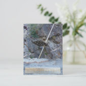 コリウール：ソレイルスポルト ポストカード (スタンド正面)