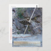 コリウール：ソレイルスポルト ポストカード (正面/裏面)