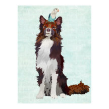 コリカラフルー&ブルーバード