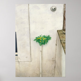 コリダリス・ルティー ポスター