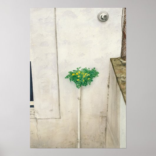 コリダリス・ルティー ポスター (正面)