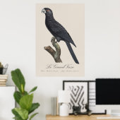 コリデウス・ヴァサ・インコ、コリデウス・ヴァサのイラスト ポスター (ホームオフィス)