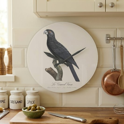 コリデウス・ヴァサ・インコ、コリデウス・ヴァサのイラスト ラージ壁時計
