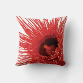 コリビアのficifolia "Wildfire"写真角枕 クッション (裏面)