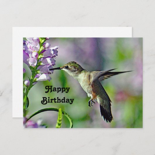 コリブリのピンクの花の野生生物写真の誕生日 ポストカード (正面/裏面)