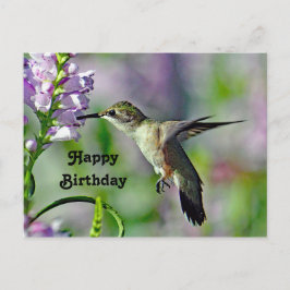 コリブリのピンクの花の野生生物写真の誕生日 ポストカード