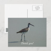 コリブリのポーズ ポストカード (正面/裏面)