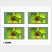 コリブリの巣の長方形ステッカー 長方形シール (シート)