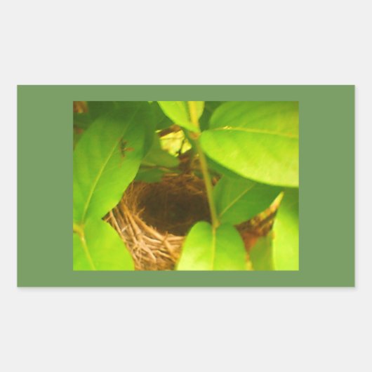 コリブリの巣の長方形ステッカー 長方形シール (正面)