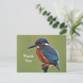 コリブリの感謝のハガキ ポストカード (スタンド正面)