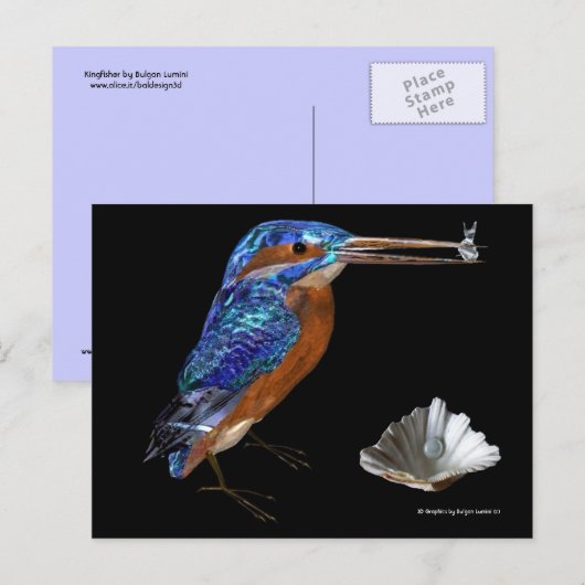 コリブリ ポストカード (正面/裏面)