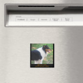 コリンを見せて… マグネット (インサイチュ (食洗機))