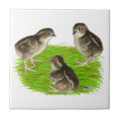 コリンウズラのひよこ タイル (正面)