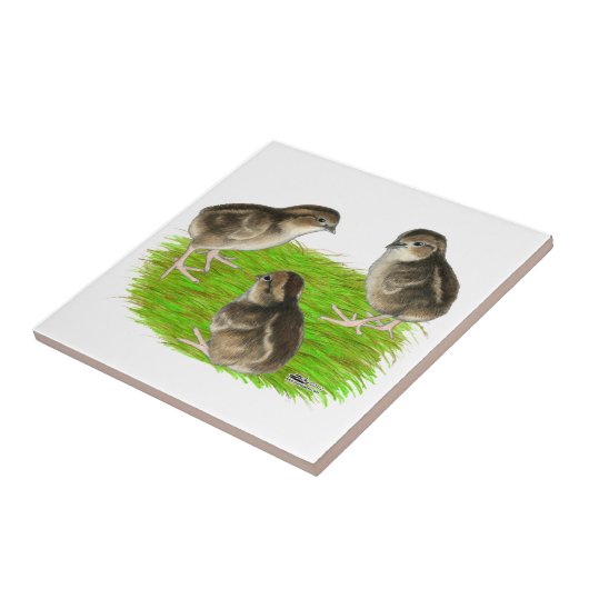 コリンウズラのひよこ タイル (側面)