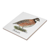 コリンウズラのオンドリ タイル (側面)