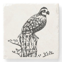 コリンウズラのコースター