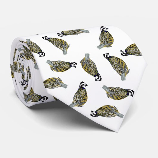 コリンウズラのトスのタイ ネクタイ (ロール)