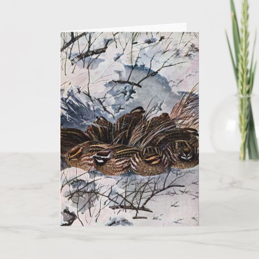 コリンウズラの一群 カード (正面)