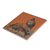 コリンウズラ(ジョージア、ミズーリおよびテネシー州) タイル (側面)