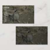 コリンウズラ 名刺 (正面/裏面)