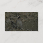 コリンウズラ 名刺 (裏面)