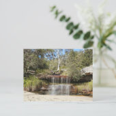 コリンズビーチ ポストカード (スタンド正面)