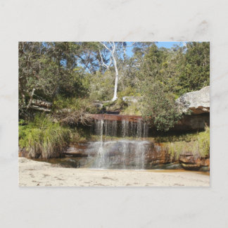 コリンズビーチ ポストカード