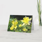 コリンチアン1、3:7、水やりの缶と植物 カード (裏面)
