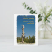 コリントの信徒への手紙二 4:15 ポストカード (スタンド正面)