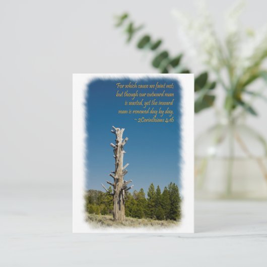 コリントの信徒への手紙二 4:15 ポストカード (スタンド正面)