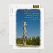 コリントの信徒への手紙二 4:15 ポストカード (正面/裏面)