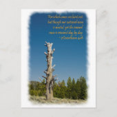 コリントの信徒への手紙二 4:15 ポストカード (正面)