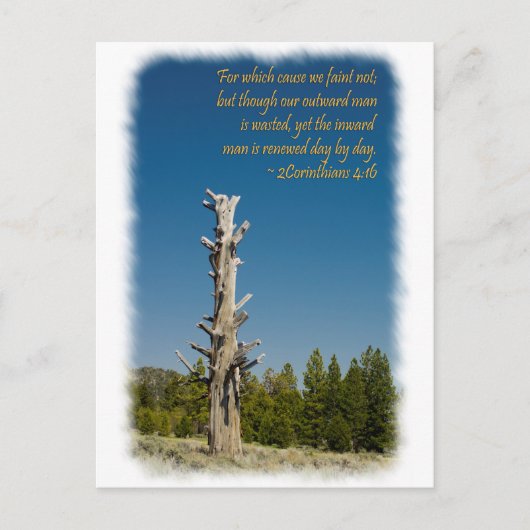 コリントの信徒への手紙二 4:15 ポストカード (正面)