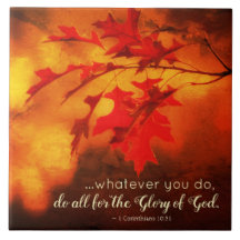 コリントの信徒への手紙10:31 神の栄光のためにすべてを行え