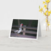 コリントアカガモの肖像 カード (黄色い花)