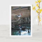 コリントガチョウの湖の肖像 カード (黄色い花)