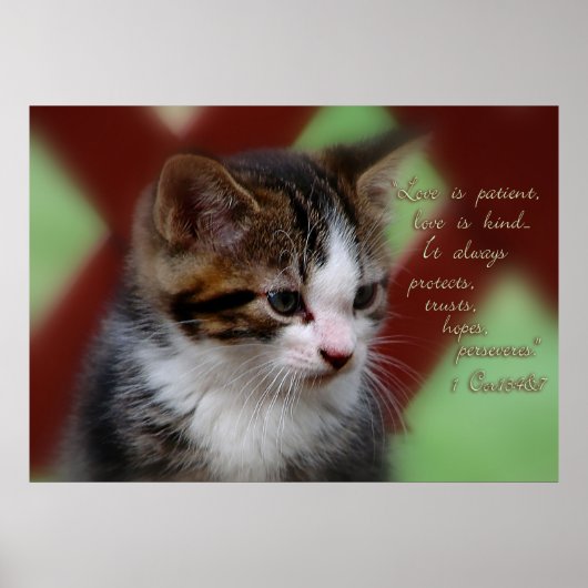 コリント感動的13 ポスター (正面)