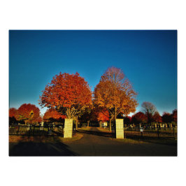 コリント色 フォトプリント           